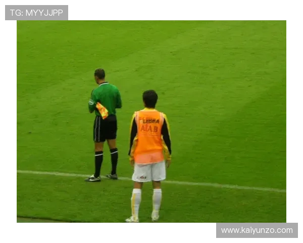 荷甲波胆怎么看 防骗避坑泛体育平台对比评测