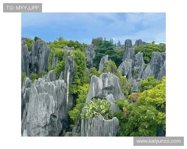 滚球大小球看盘方法避坑指南彩票数字高频玩法防骗